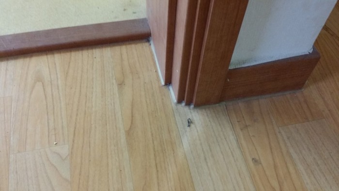 3eb003f11de1e94d208e33b1c54185d2.jpg