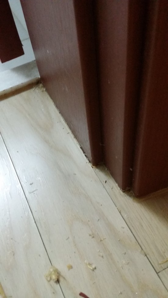ab3607d8b7171e6af712f2faf20aec49.jpg